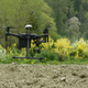 A DJI drone flies over crops on Dancing Crow Farms
